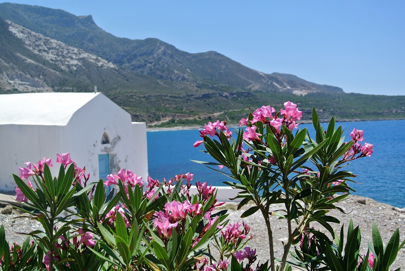 DSC_2411 (1) (Kopie).JPG